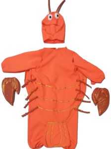 Kids Costumes to Hire - Lobster - CHILD